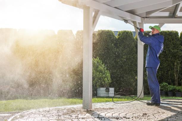 Best Roof Washing  in Homosassa Springs, FL